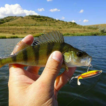 Load image into Gallery viewer, Magoloft™ Fishing Lures with Propeller Tractor