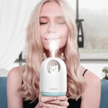 Load image into Gallery viewer, Humidifier USB aroma diffuser