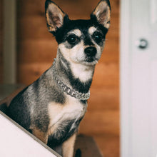 Load image into Gallery viewer, Bling Cuban Link Dog Collar