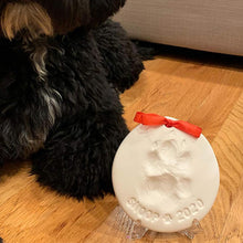 Load image into Gallery viewer, Clay Pet Paw Impression Moulding Kit