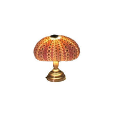Load image into Gallery viewer, DIY Sea Urchin Night Light