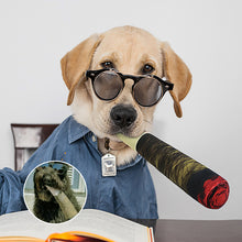 Load image into Gallery viewer, Cigar Design Funny Dog Toys