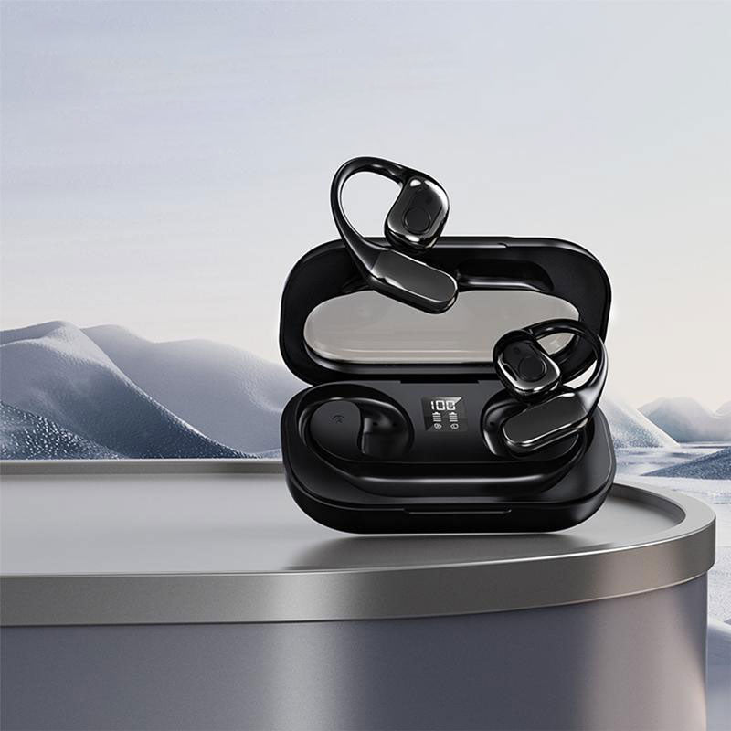 Wireless Earbud Translator