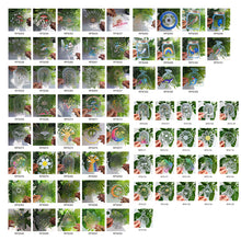 Load image into Gallery viewer, Adsorption Rainbow Glass Window Stickers (Random 10-piece pack)