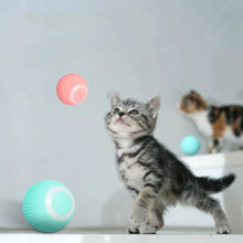 Load image into Gallery viewer, 【STORT SALG】Smart Cat Interaktive Ballleker