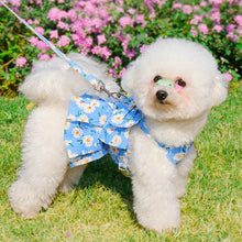 Load image into Gallery viewer, Undershirt Type Pet Traction Coat