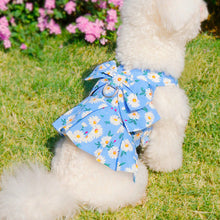Load image into Gallery viewer, Undershirt Type Pet Traction Coat