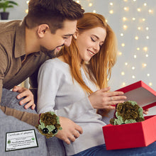 Load image into Gallery viewer, Adopter en Weed Nugget-plysj