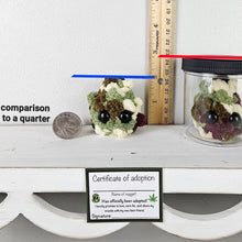 Load image into Gallery viewer, Adopter en Weed Nugget-plysj