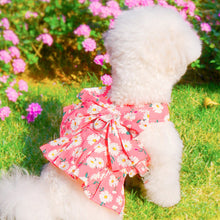 Load image into Gallery viewer, Undershirt Type Pet Traction Coat