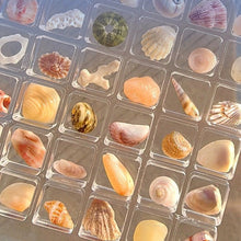 Load image into Gallery viewer, Acrylic Magnetic Display Box
