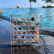 Load image into Gallery viewer, Acrylic Magnetic Display Box