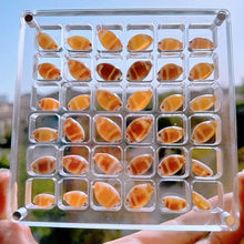 Load image into Gallery viewer, Acrylic Magnetic Display Box