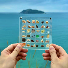 Load image into Gallery viewer, Displayboks med magnetisk skall i akryl
