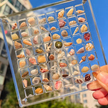 Load image into Gallery viewer, Displayboks med magnetisk skall i akryl