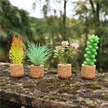 Load image into Gallery viewer, Succulent Air Freshener Vent Clips