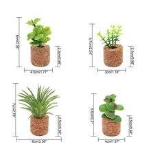 Load image into Gallery viewer, Succulent Air Freshener Vent Clips