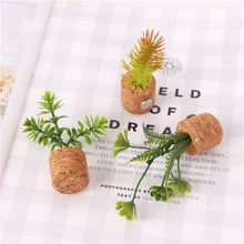 Load image into Gallery viewer, Succulent Air Freshener Vent Clips