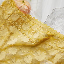 Load image into Gallery viewer, French Ice Silk Lace Belly Panties