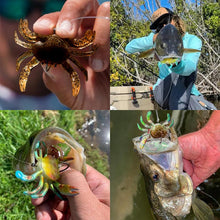 Load image into Gallery viewer, Bionic fishing lure