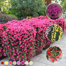 Load image into Gallery viewer, Simulert Fiolett Hengende Kurv